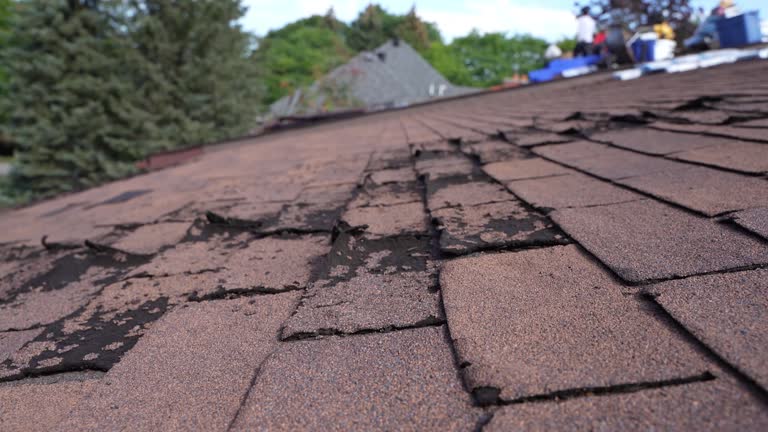 Best Steel Roofing  in Minerva Park, OH