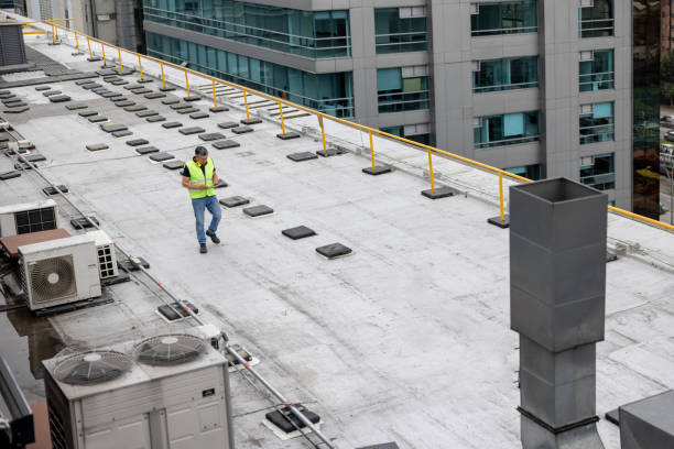 Best Asphalt Shingle Roofing  in Minerva Park, OH