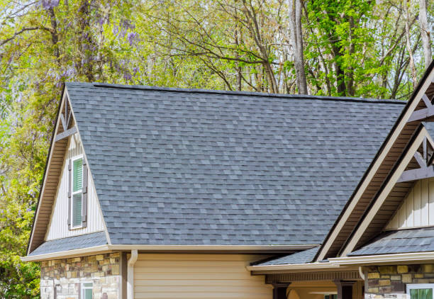 Best Asphalt Shingles Roofing  in Minerva Park, OH