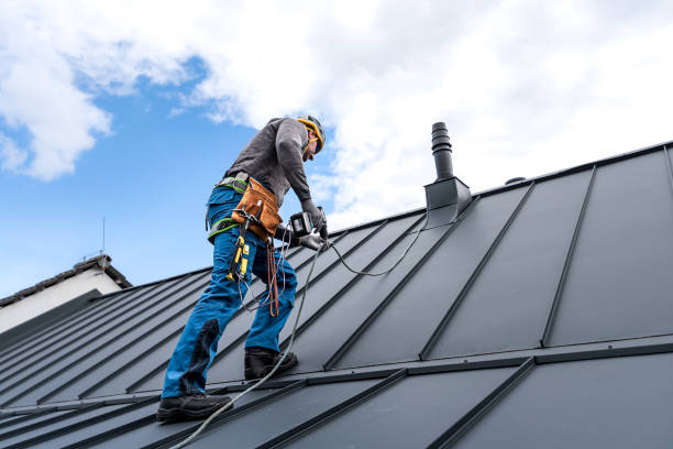 Best Metal Roofing Installation  in Minerva Park, OH